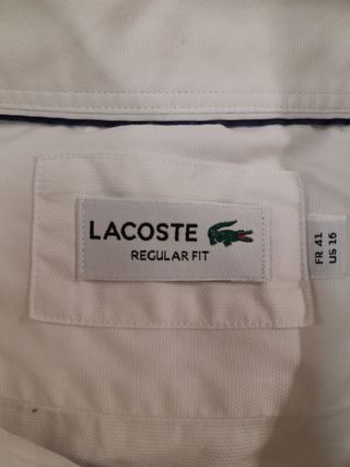 Camicia  Uomo lacoste taglia L