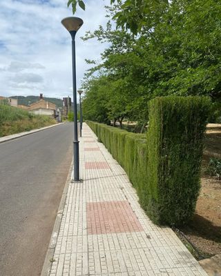 Jardinero económico
