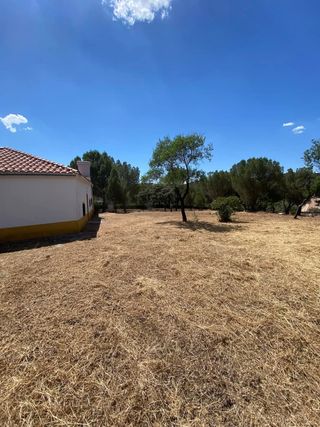 Jardinero económico