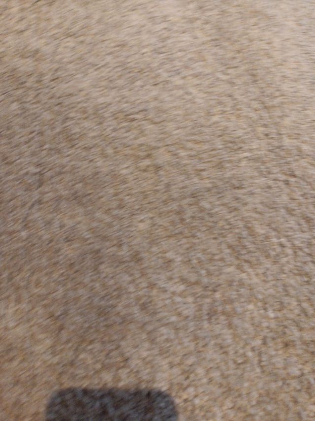 Alfombra gris nueva 80 x 150 cm