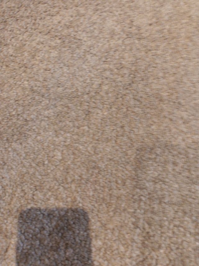 Alfombra gris nueva 80 x 150 cm