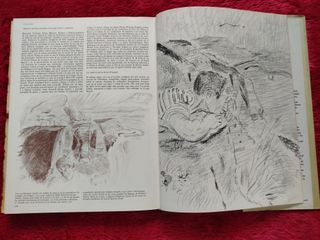 DIBUJAR CON LOS GRANDES MAESTROS.