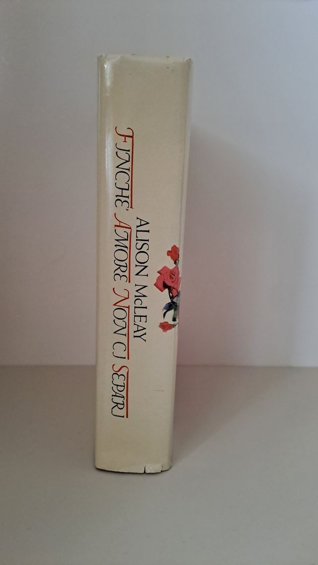 Libro Finché amore non ci separi