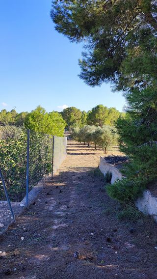 Casa de campo con gran terreno disponible