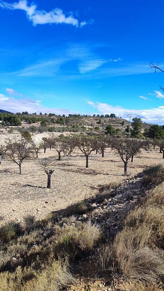 Casa de campo con gran terreno disponible