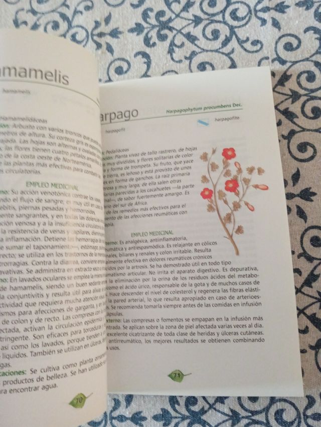 Libro.La salud planta por planta : herbacedario pr