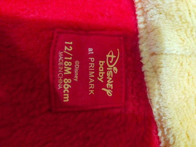 Disfraz Winnie the Pooh 12-18. Meses