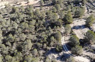 Terreno en la naturaleza Monovar, Alicante