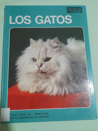 Los Gatos
