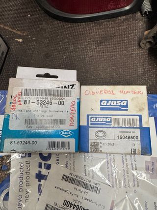 Recambio montero v20