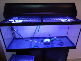 Acuario 100L+mueble+accesorios