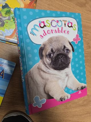 Pack cuentos infantiles y otros