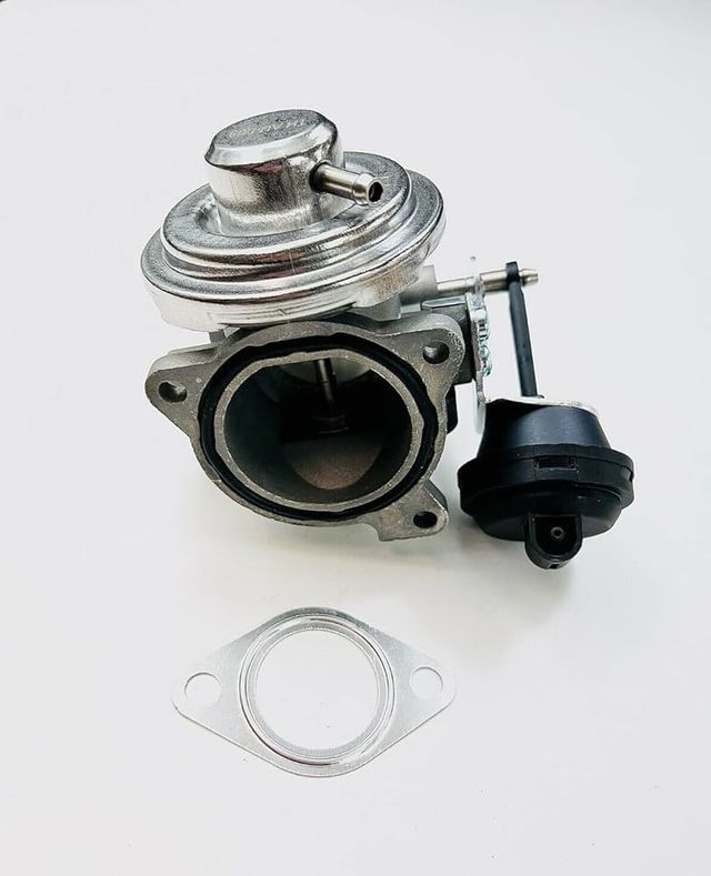 EGR AUDI VW 1.9 2.0 TDI