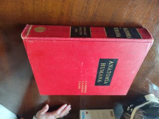 Libro anatomia humana