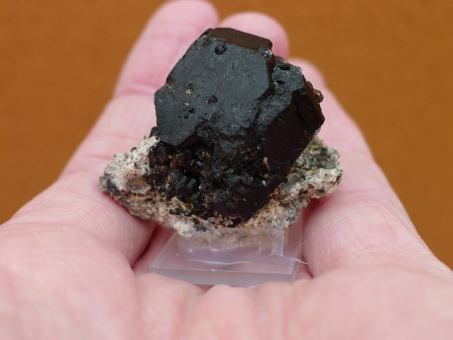 Cehegín, Spagna 4,2 x 3,8 cm