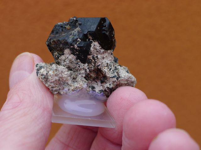 Cehegín, Spagna 4,2 x 3,8 cm