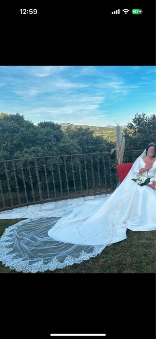 Velo Novia Pronovias