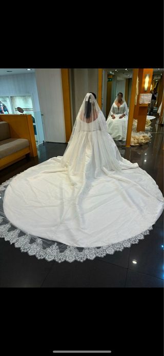 Velo Novia Pronovias