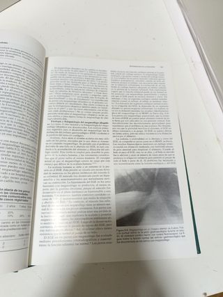 Enfermedades digestivas peq.animales