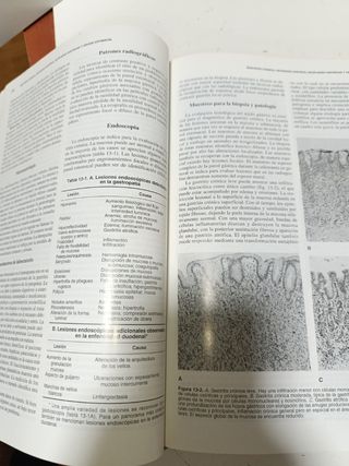 Enfermedades digestivas peq.animales