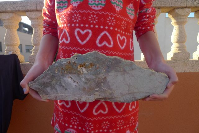 Fluorite - Dolomite, Moscona, Asturie, 31 x 10 cm