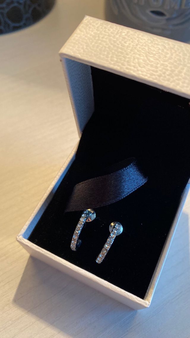 Orecchini ergenti Donna