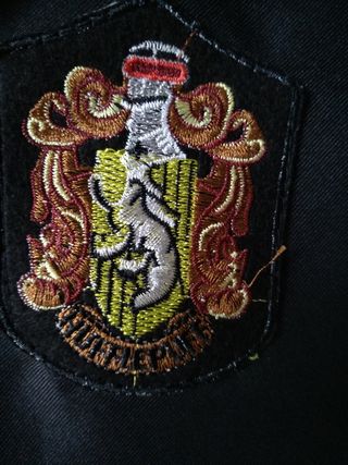 Capa Harry Potter Hufferpuf