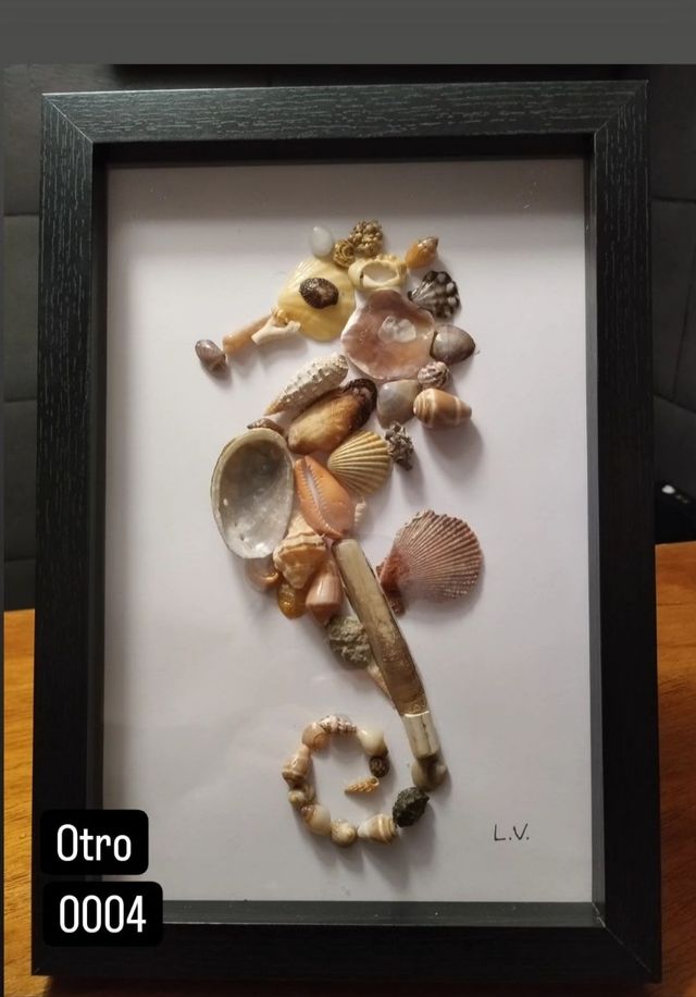 Cuadros de conchitas y caracolas