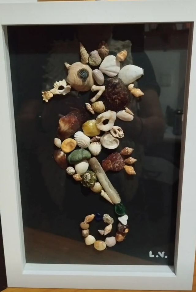 Cuadros de conchitas y caracolas