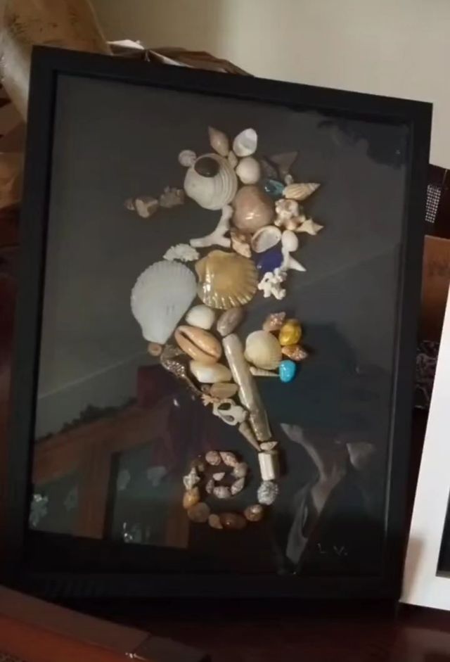 Cuadros de conchitas y caracolas