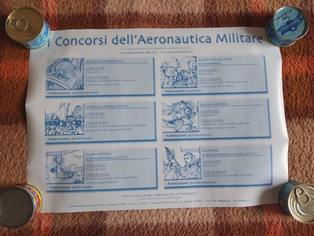 Aeronautica Militare - Predator - Poster