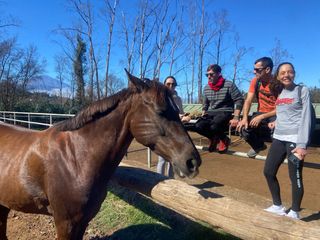 Estilosa falda Mango.