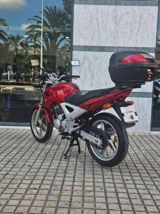 HONDA CBF-250 
