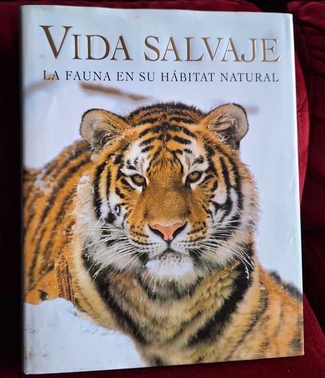 Vida Salvaje (Spanish Edition)