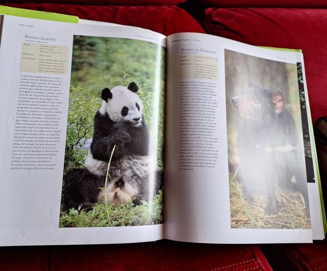 Vida Salvaje (Spanish Edition)