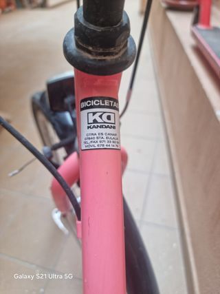 Bicicleta 