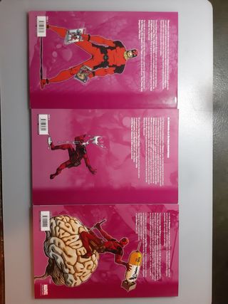 Lote cómics Deadpool Masacre