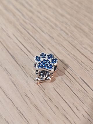 Charm de plata huella de perro y hueso