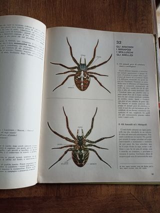La Natura questa sconosciuta