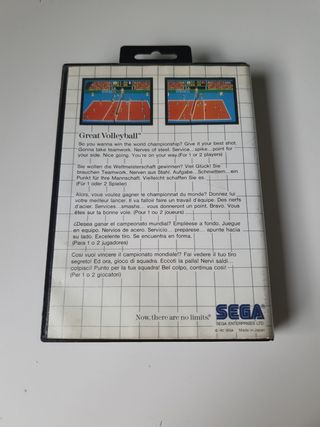 Great Volleybal Master System 