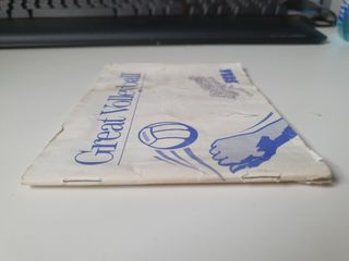 Great Volleybal Master System 