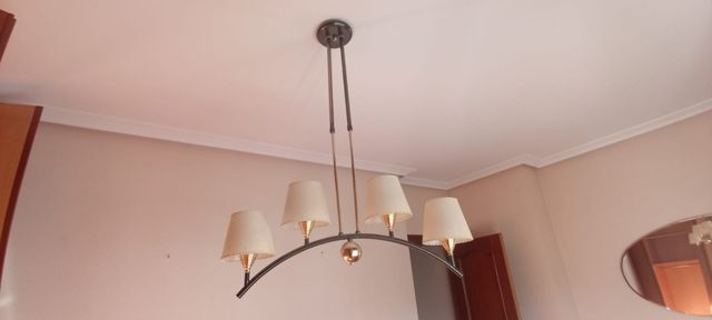 Echeveria elegans, suculenta, muchísimos hijuelos.