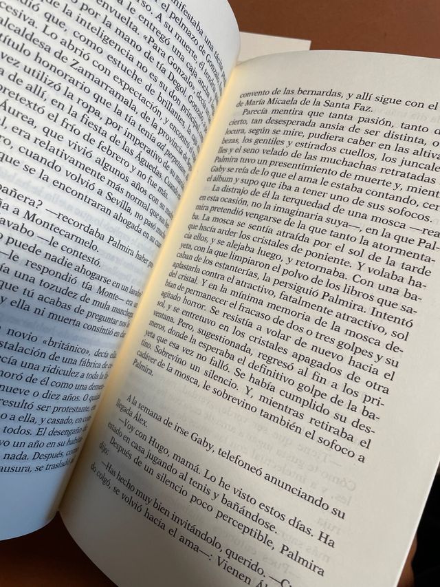 MÁS ALLÁ DEL JARDÍN de Antonio Gala