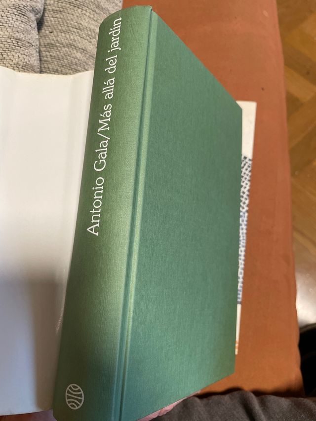 MÁS ALLÁ DEL JARDÍN de Antonio Gala