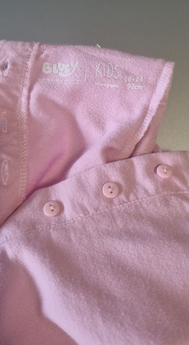 Vestido Bluey y Bingo Zara Kids 92cm