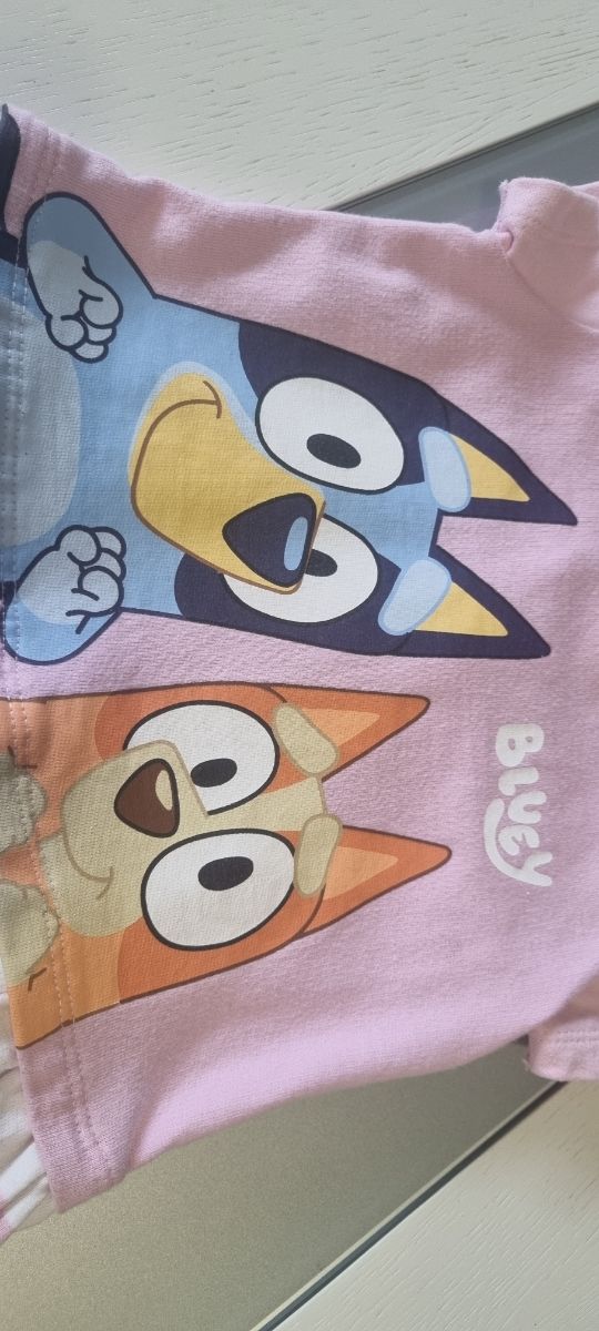 Vestido Bluey y Bingo Zara Kids 92cm