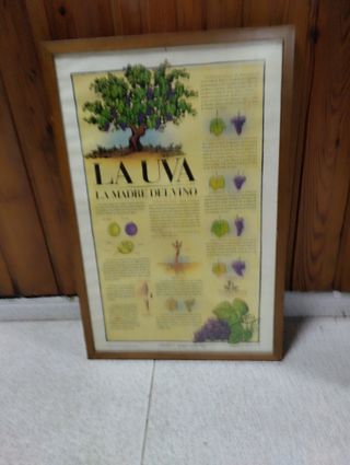 Cuadros bar decoración