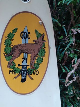 Skis Ejercito C.O.E Ejercito