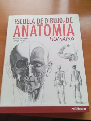 Esc.de dibujo: Anatomía humana