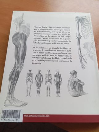 Esc.de dibujo: Anatomía humana